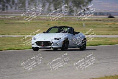 media/Mar-29-2025-Speed Ventures (Sat) [[9900210f0d]]/Purple/Grid and Front Straight/